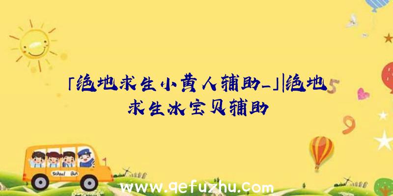 「绝地求生小黄人辅助_」|绝地求生冰宝贝辅助